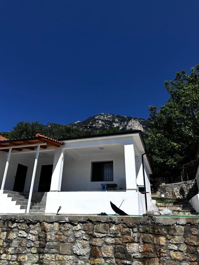 Bujtina Sakollari